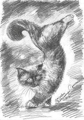 The cat-dancer. Slipenko Vladimir