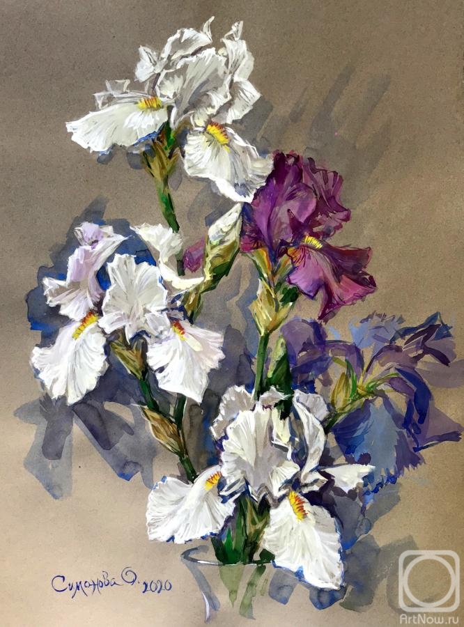 Simonova Olga. Irises on gray