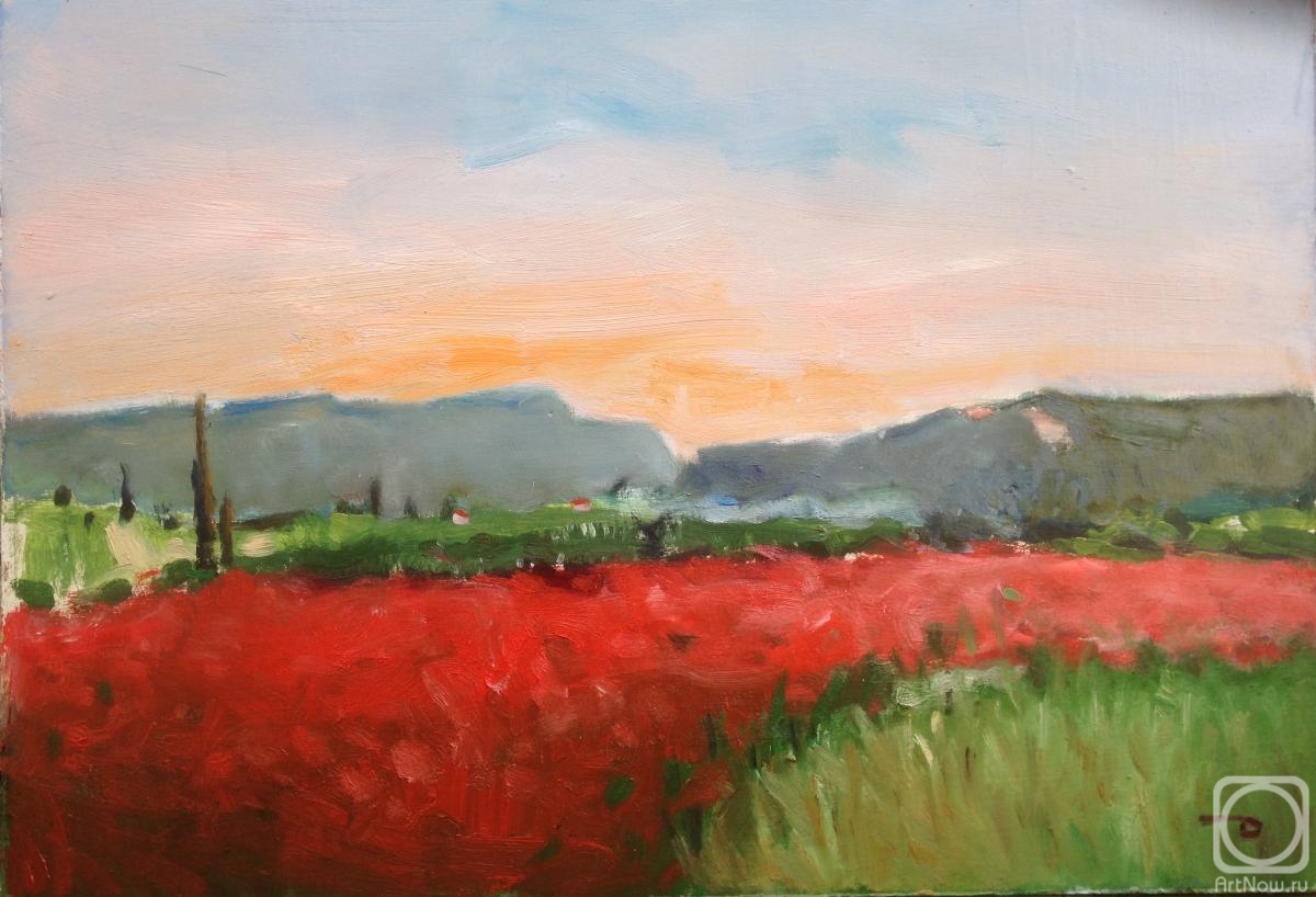 Dymant Anatoliy. Evening on the field of poppies