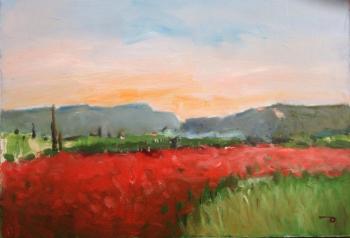 Evening on the field of poppies