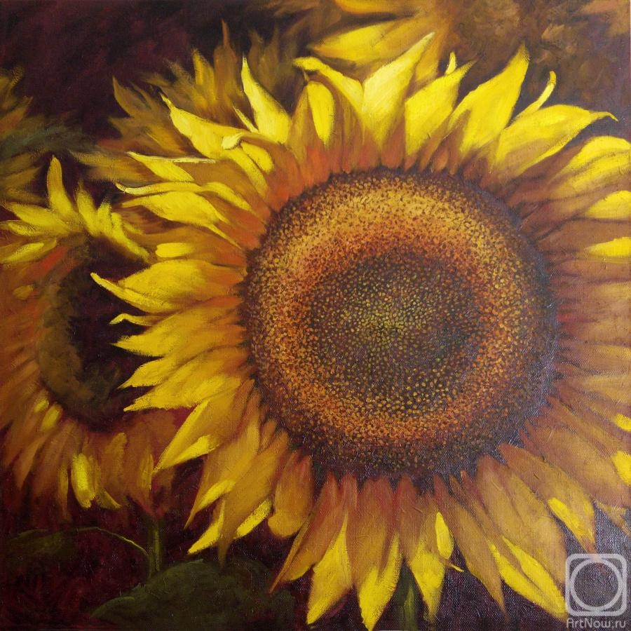 Rostovskaia Nataly. Sunflower