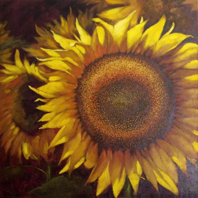 Sunflower. Rostovskaia Nataly