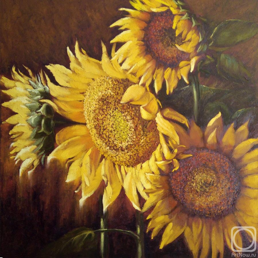 Rostovskaia Nataly. Sunflowers