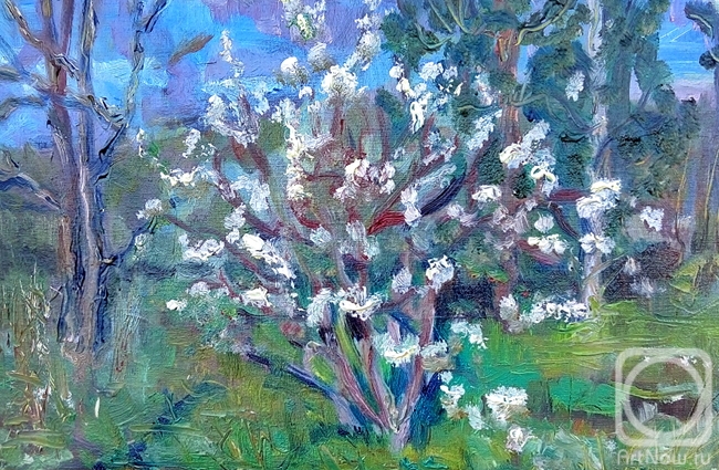 Kataeva Galina. Plum blossoms