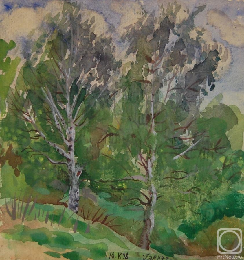 Dobrovolskaya Gayane. Two birch trees in a ravine, spring