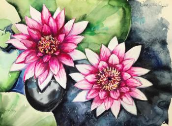 ������� �������� �����