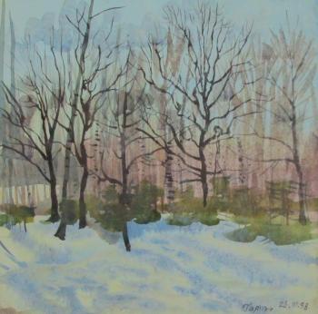 Spring, forest edge, March 28, 1998. Dobrovolskaya Gayane