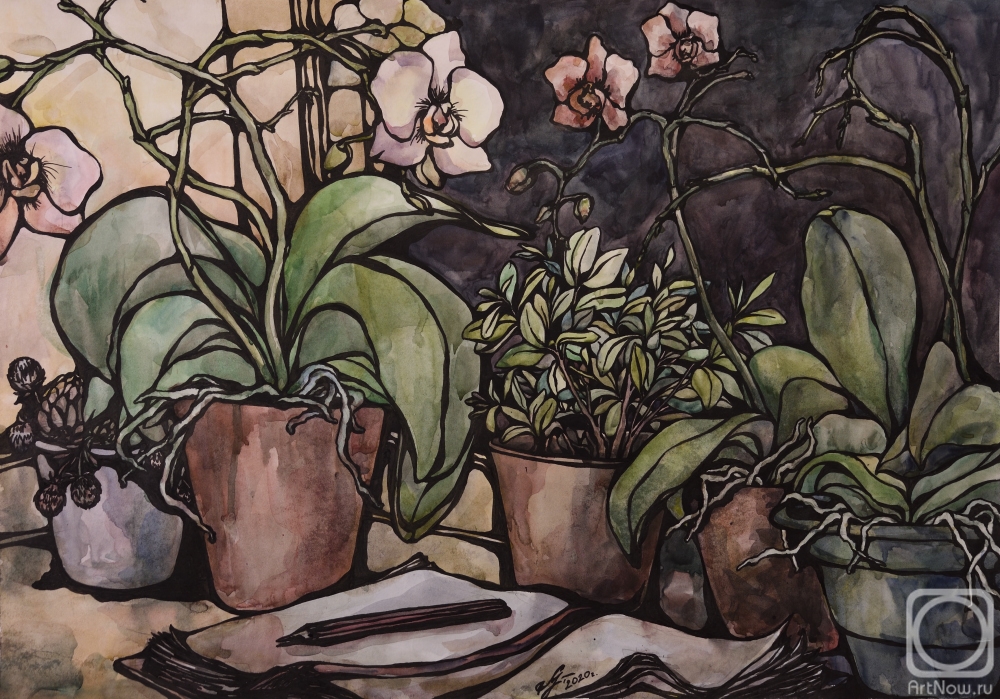 Ushakova Maria. Untitled