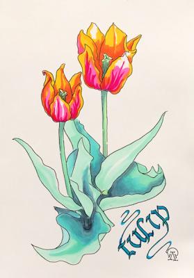 ��������. �������� ������