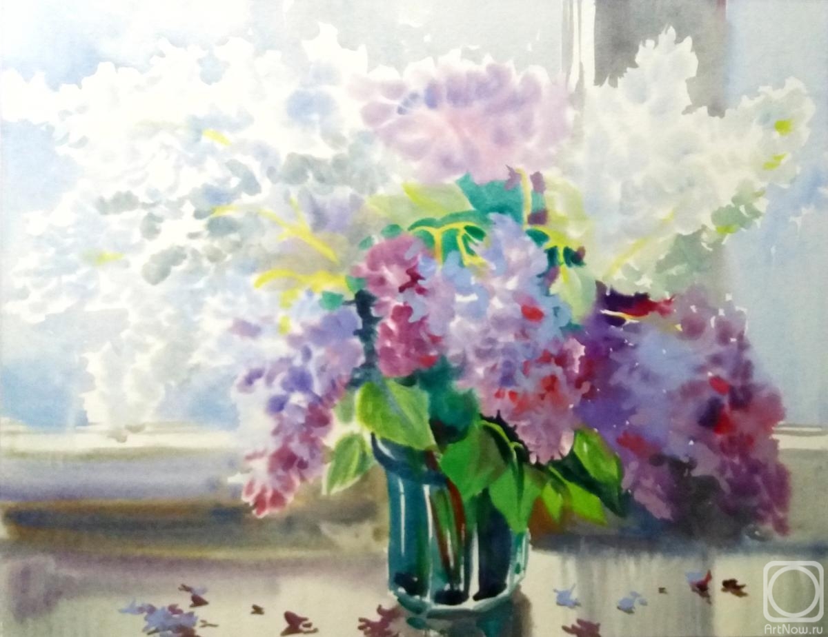 �������. ���������� ���������. ������ � ����