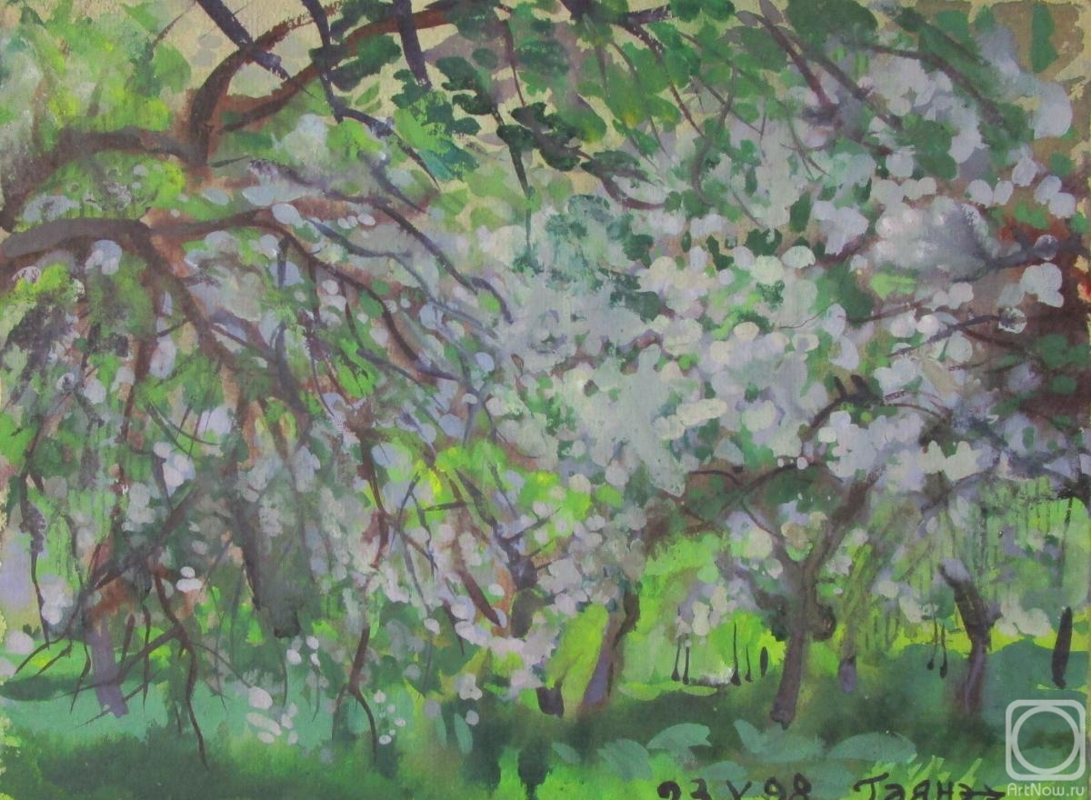 Dobrovolskaya Gayane. Blooming Plum Orchard, Spring