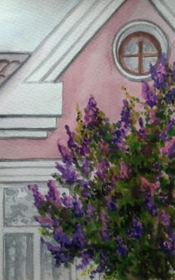 The lilac Bush near the pink house