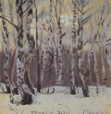 Sunset, spring, forest, March 25, 2000