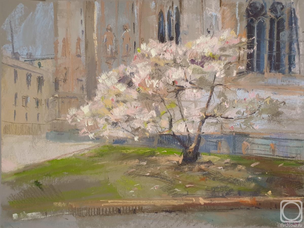 �������. ��������� �������. �����