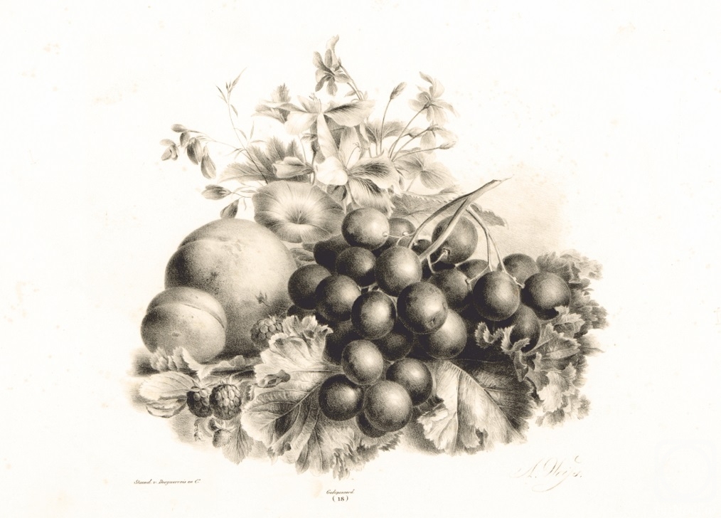 Kolotikhin Mikhail. Bloemen, perzik, nectarine, druiven en bramen