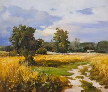Path between the fields. Sharabarin Andrey