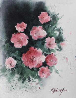 Roses (Botanical Watercolor). Petrovskaya Irina