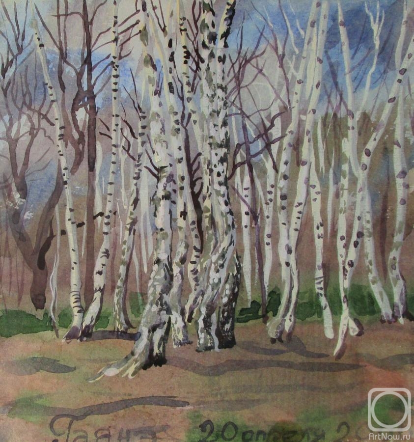 Dobrovolskaya Gayane. Birches at the edge of the forest, April 20, 2000