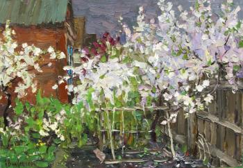 Grandma's garden blooms ( ). Vikov Andrej