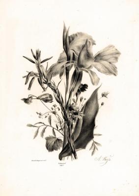 Kolotikhin Mikhail Yevgenyevich. Diverse bloemen