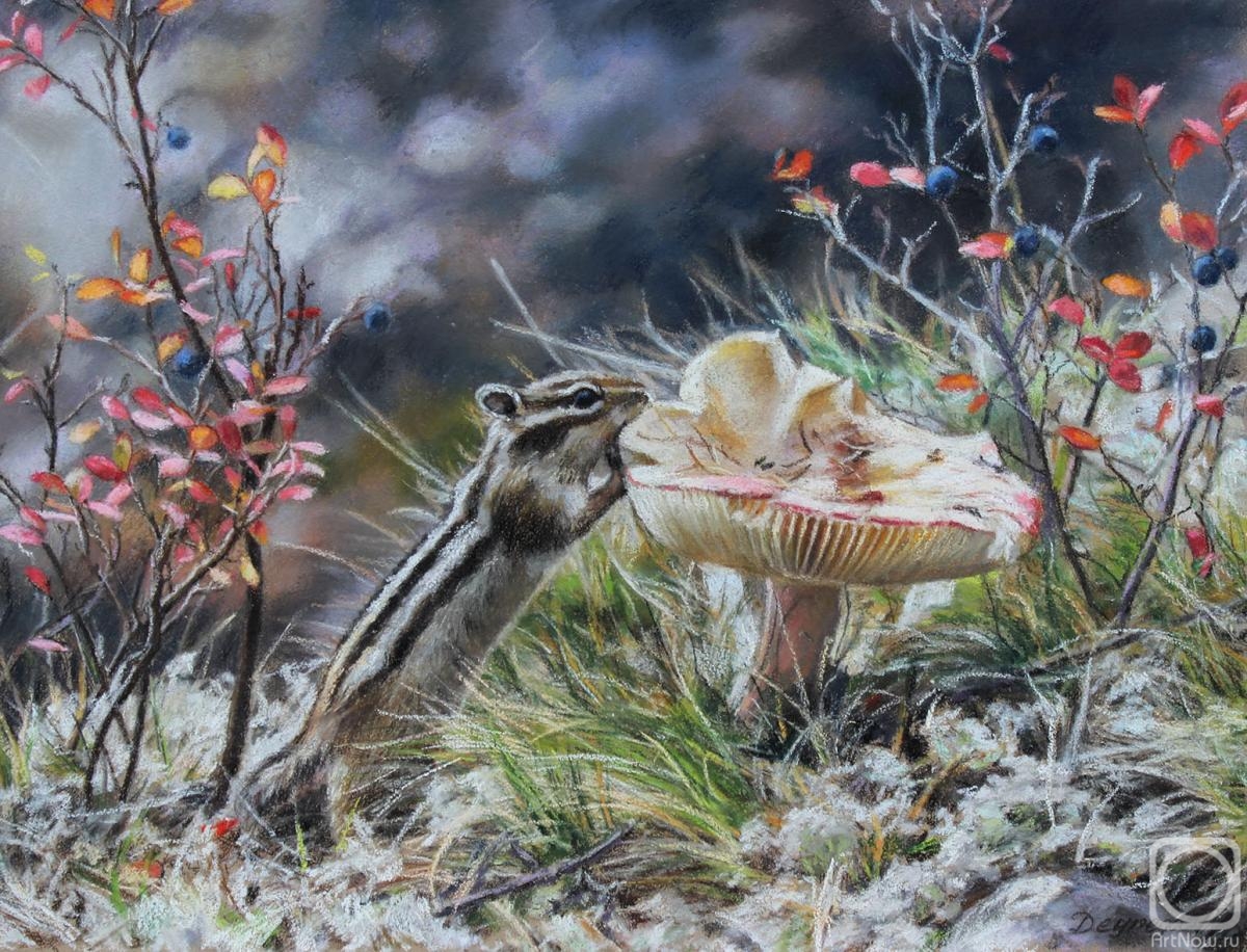 �������. ������� �������. ������� ����