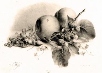 Peach, currant, hazelnut and BlackBerry (A Peach). Kolotikhin Mikhail