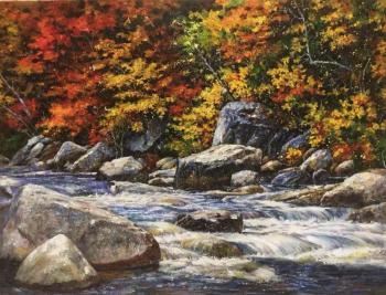 Stream in autumn colors. Kamskij Savelij