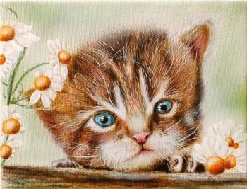 Kitty (Baby Cat). Litvinov Andrew
