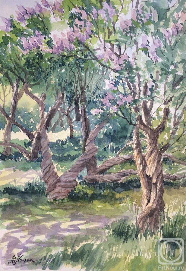 Novikova Maria. Old lilac garden