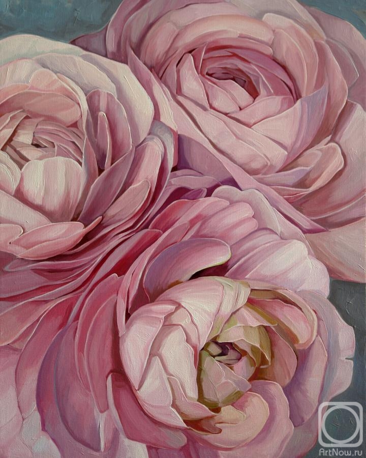 Vestnikova Ekaterina. Pink Ranunculus