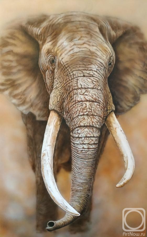 Litvinov Andrew. African elephant