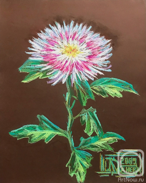 �������. �������� ������. ���������� ����-�������