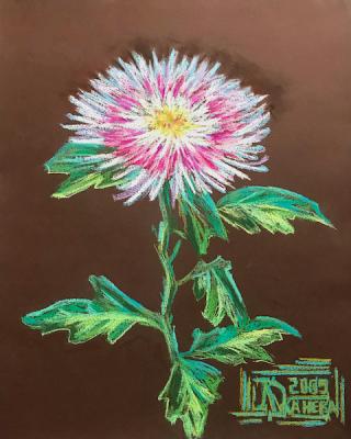 ���������� ����-�������. �������� ������