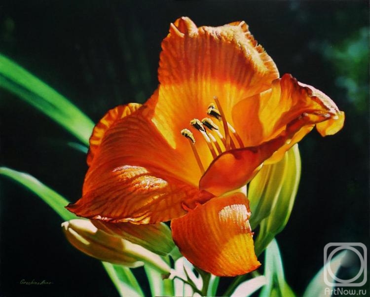 Grechina Anna. Orange Lily