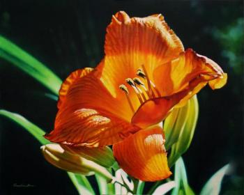Orange Lily. Grechina Anna