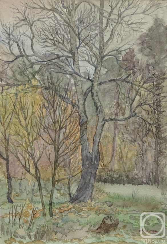 �������. ������� �����. ���� ����������-�������