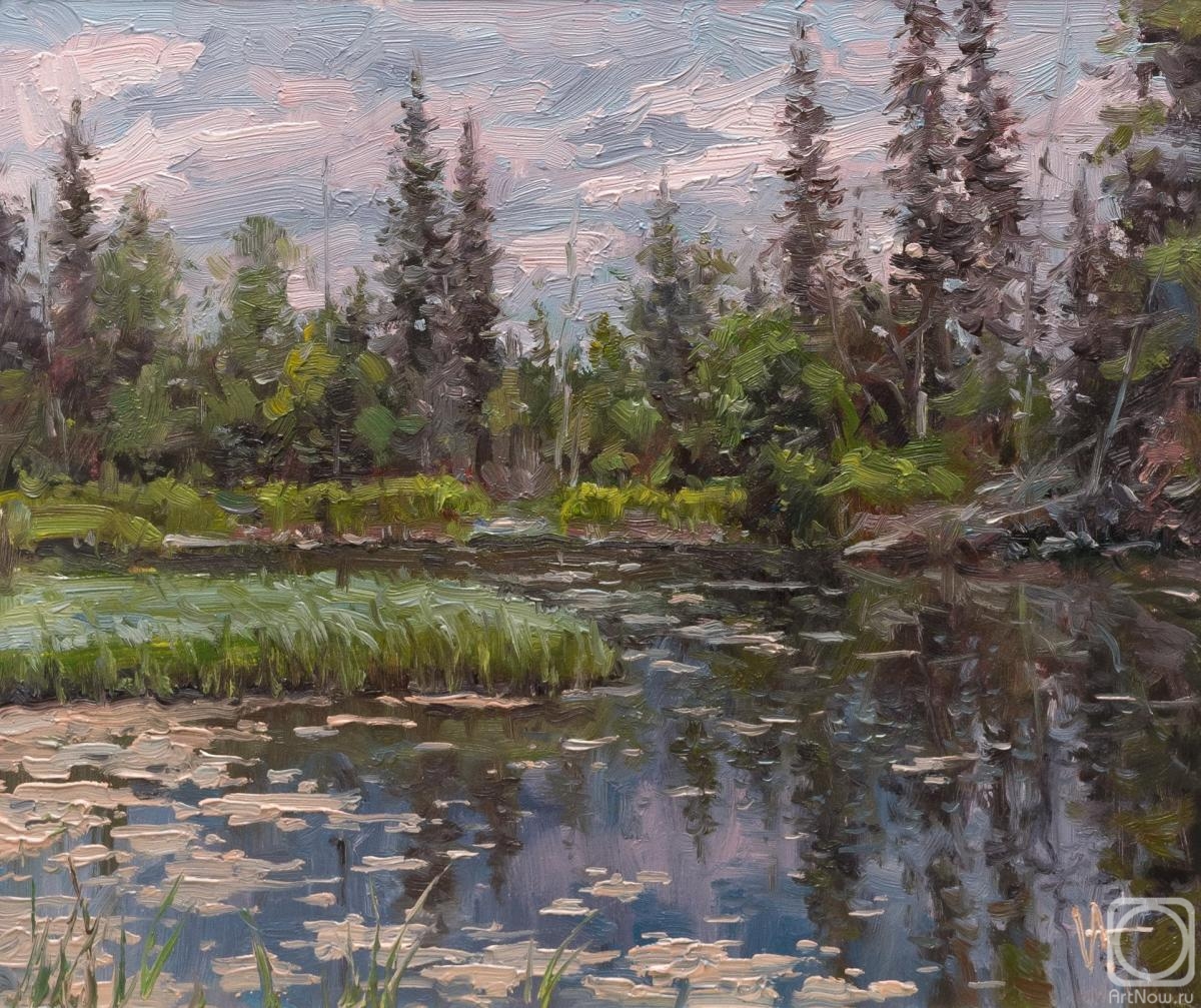 Volya Alexander. Swamp, sketch