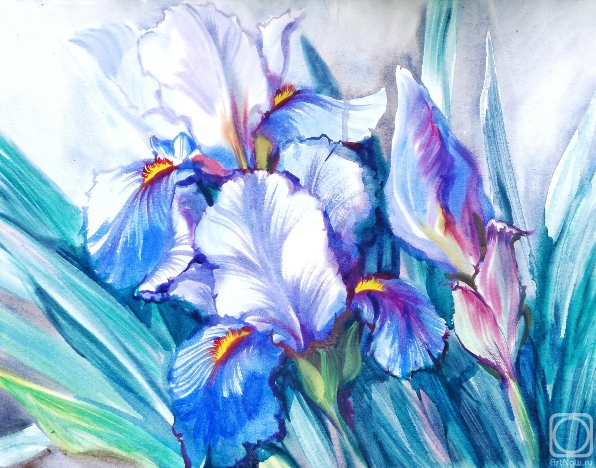 Mikhalskaya Katya. Iris of June