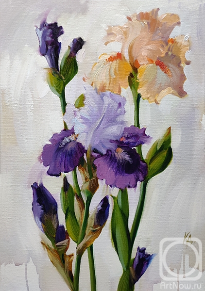 ������� ������ �� ������. ��������� ����. ����� 2020