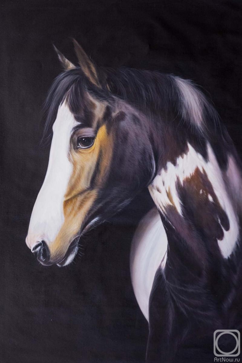 Kamskij Savelij. Portrait of a bay horse