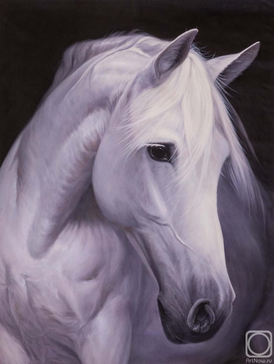 Kamskij Savelij. Portrait of a white horse