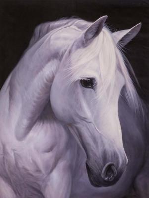 ������� �������� ����� ������