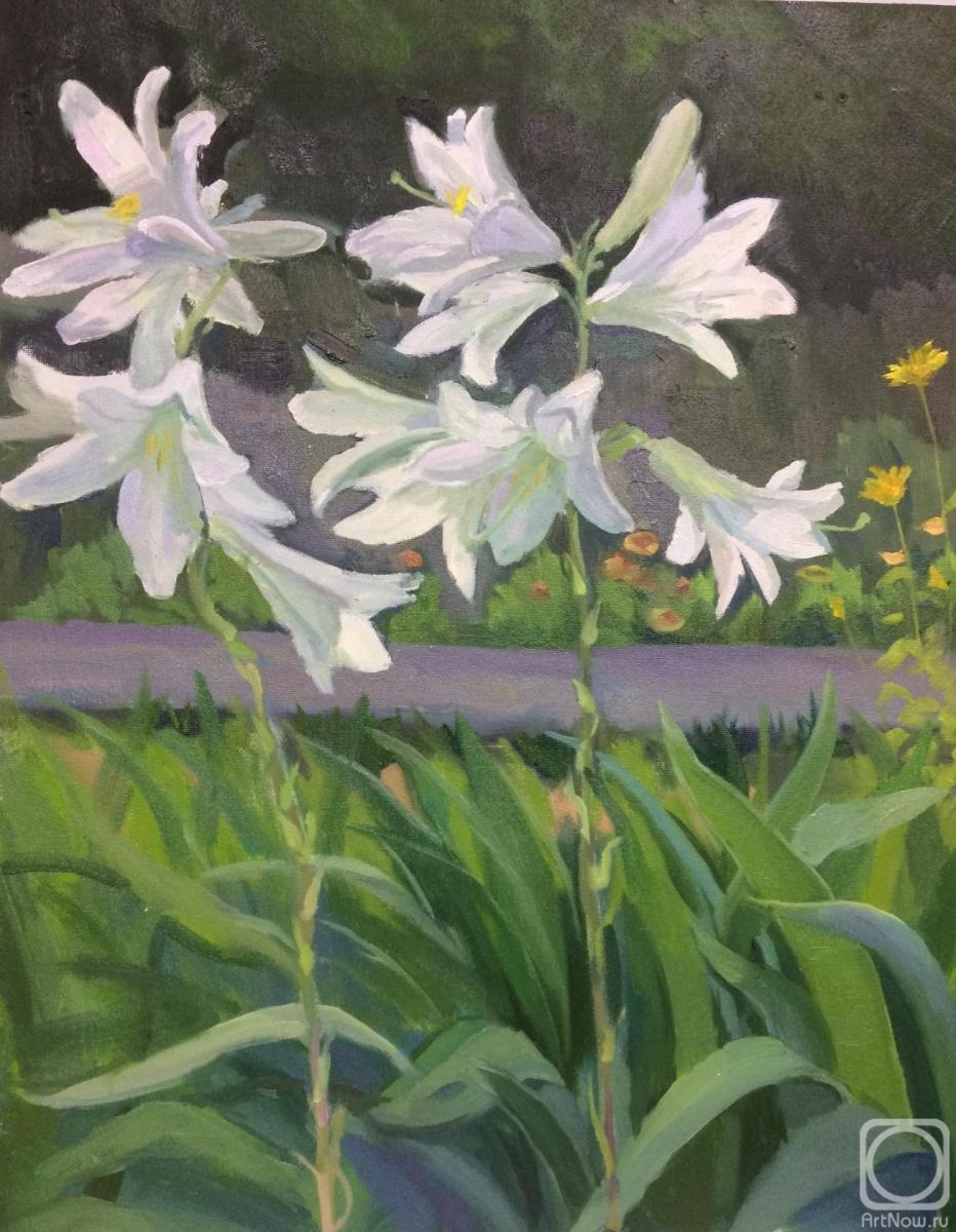 Tsebenko Natalia. Sketch of white lilies