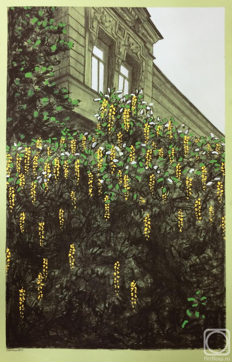 �������. ������� �����. ������