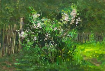 ������� �������� �������