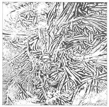 ������� ������� �������