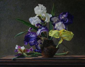 Irises. Chumakov Sergey