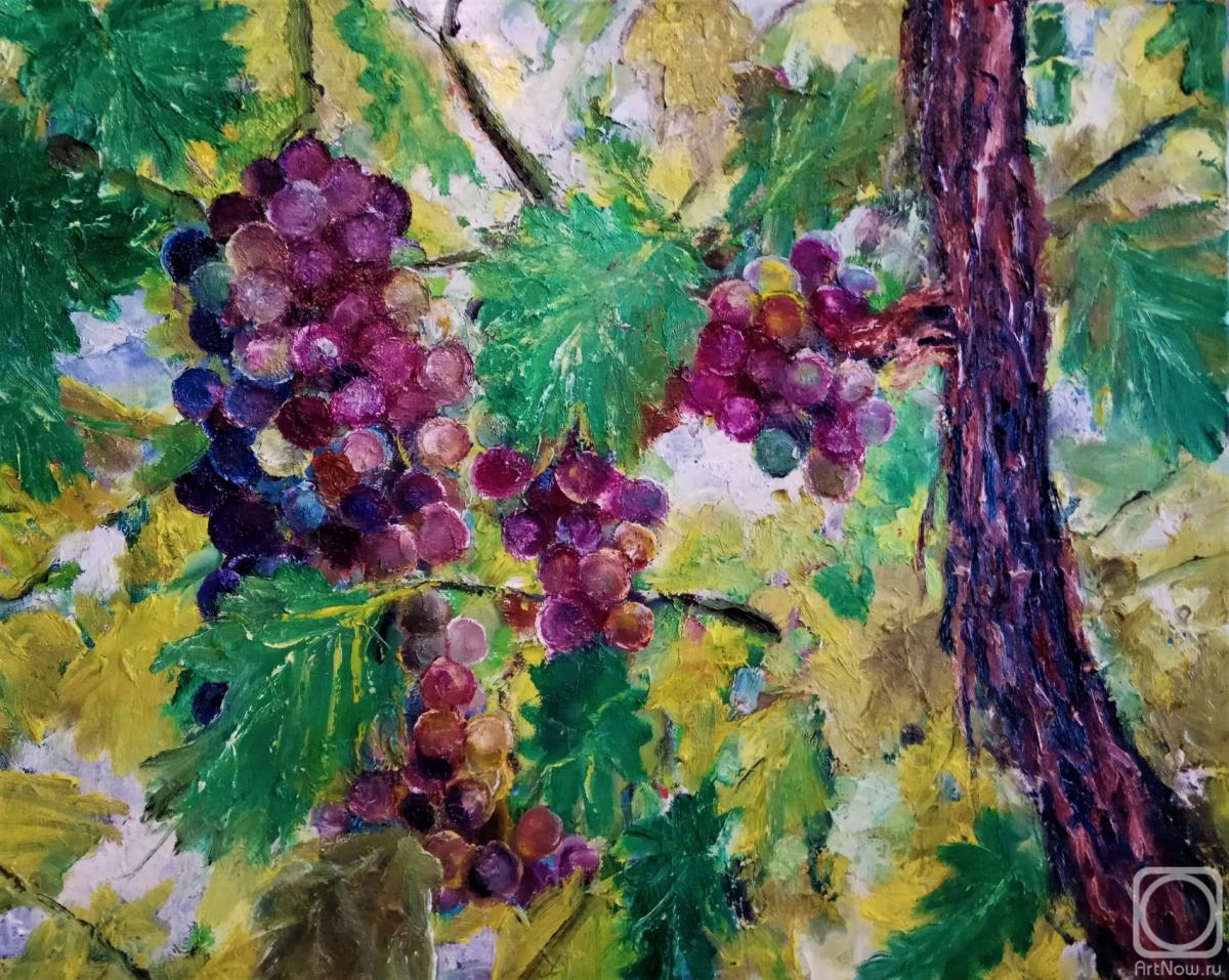 ������� ������ �� ������. �������� ������. �������