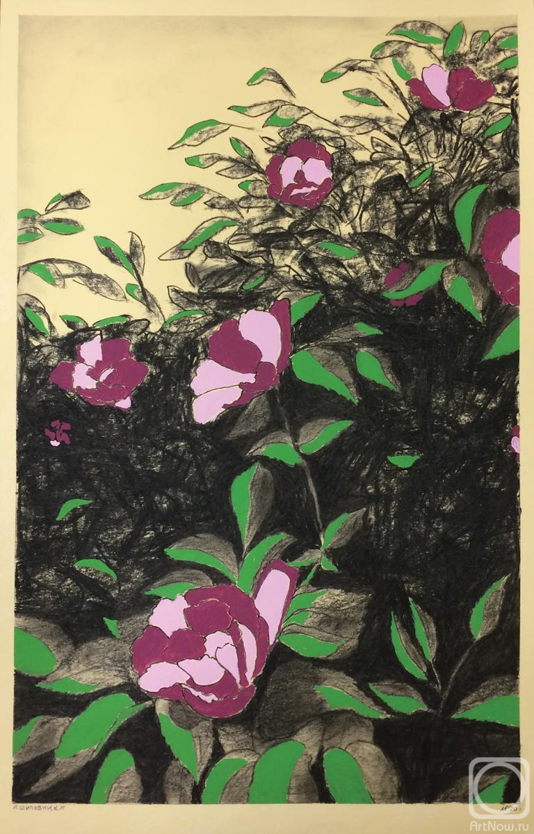 �������. ������� �����. ��������