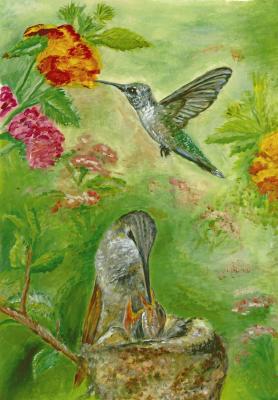 Hummingbird. Dovbysh Yuliya